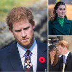 Why Prince Harry ‘called off’ birthday party at the last minute because of Kate Middleton