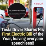 People are amazed by the remarkable electricity bill required to keep a Tesla running for an entire year.