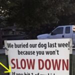 After dog is hit and killed by car, family’s brutal sign has the whole neighborhood talking