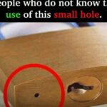 There are still people who do not know the use of this small hole