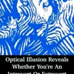 Optical illusion reveals whether you’re an introvert or extrovert