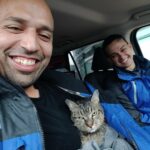 Journalists hear meowing from under their car — save a scared kitten during Hurricane Milton