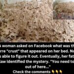 Enormous nest with 5,000 wasps found in woman’s spare room