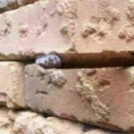 ‘Brick wall’ optical illusion makes the entire Internet scratch their heads in exasperation